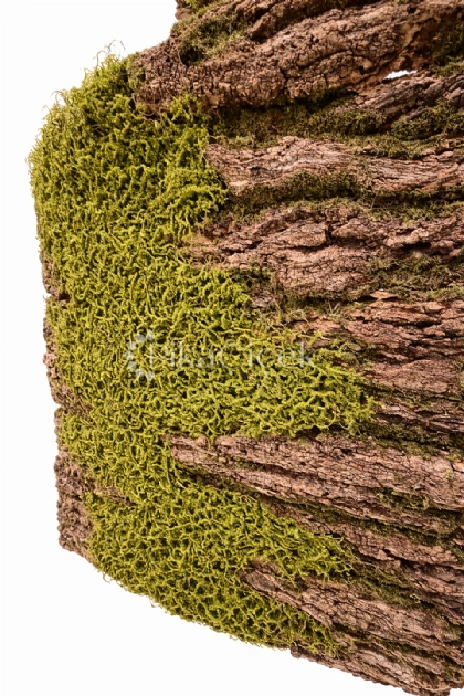 A�A� Kabu�u Dokulu Yapay Yosun Panel 100 cm x 100 cm