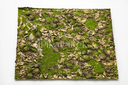 DO�AL G�r�n�ml� Orman Zemin Paneli