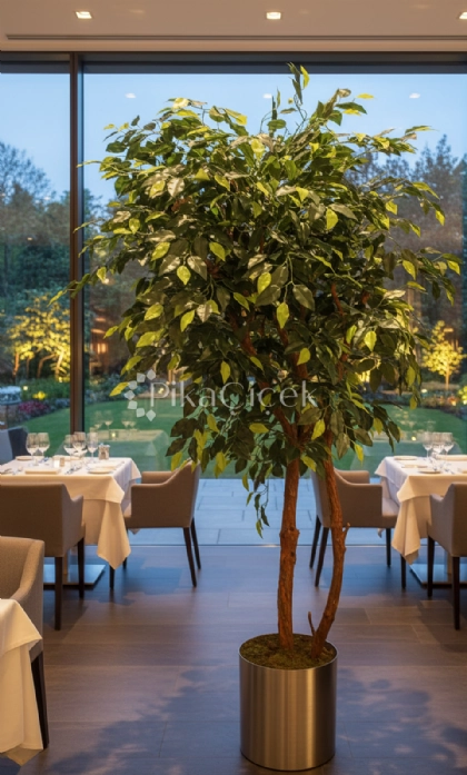 Yapay Benjamin A�ac� 170 cm