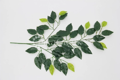 Yapay Benjamin Dal� (12'li)