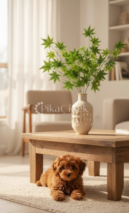 Yapay ��nar Demet (12'li)