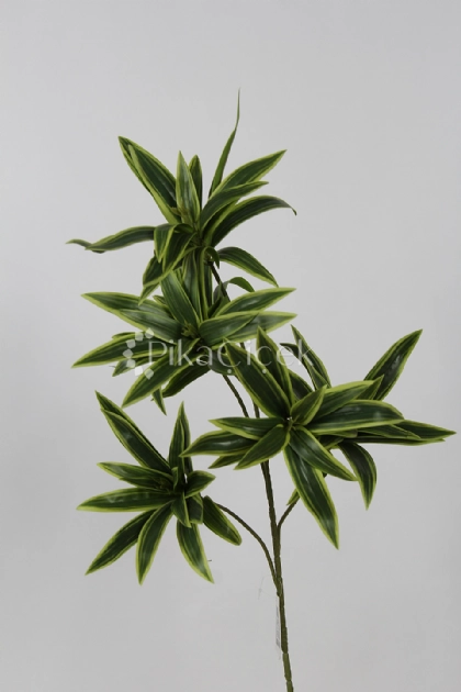 Yapay Drecena dal 85 cm