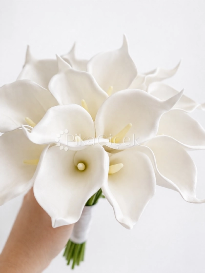 Yapay Gala Gelin �i�e�i