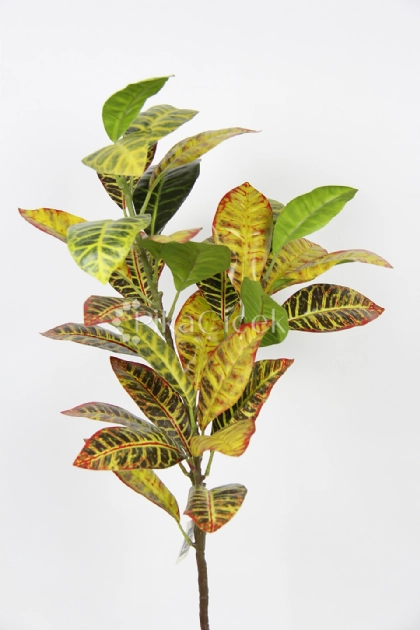 Yapay Kroton Dal 100 cm