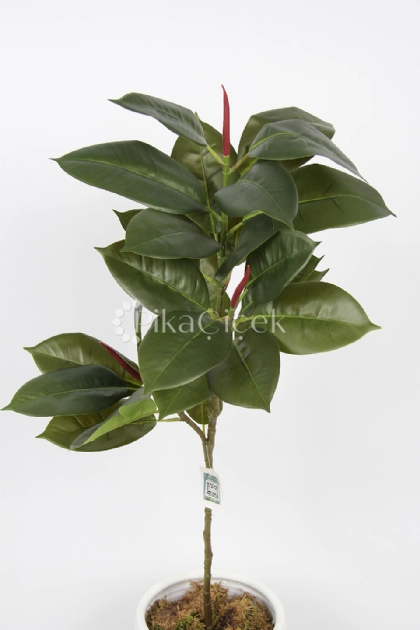 Yapay Kau�uk Dal 100 cm