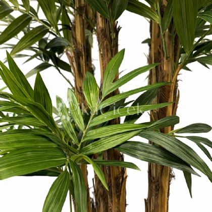 Yapay Kentia Areka 180 cm