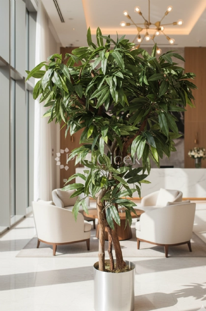 Yapay Mango A�ac� 170 cm