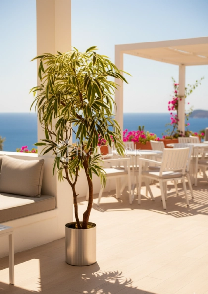 Yapay Mango Starl�ght 170 cm