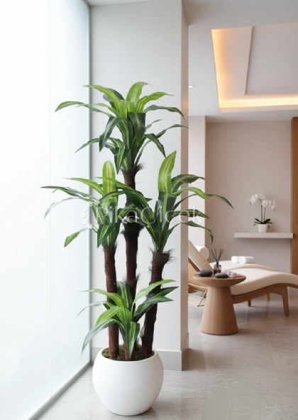 Yapay Massengena A�ac� 170 cm