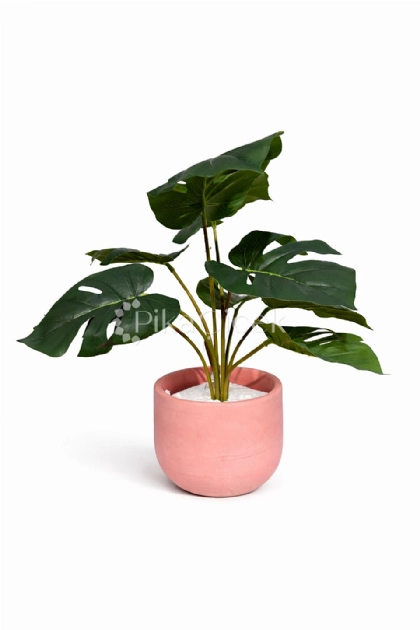 Yapay Monstera Demeti 45 cm