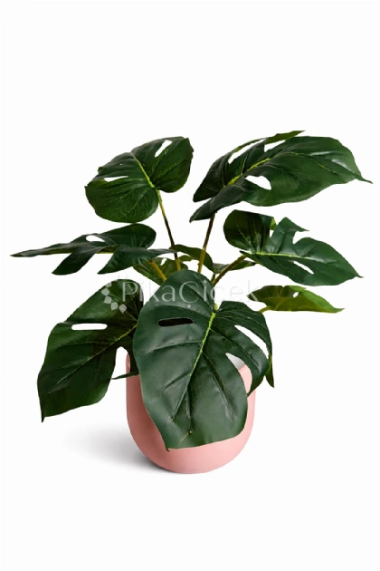 Yapay Monstera Demeti 45 cm