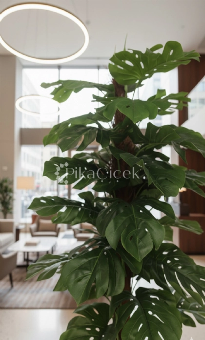 Yapay Mostera 170 cm