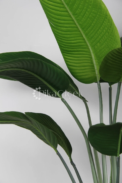 Yapay Starli�e 230 cm