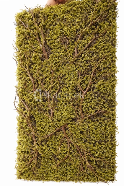 Yapay Yosun Dokulu G�vdeli Panel 100 Cm x 50Cm