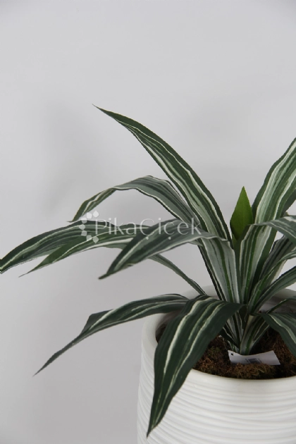 Yapay dracena Demeti 45cm