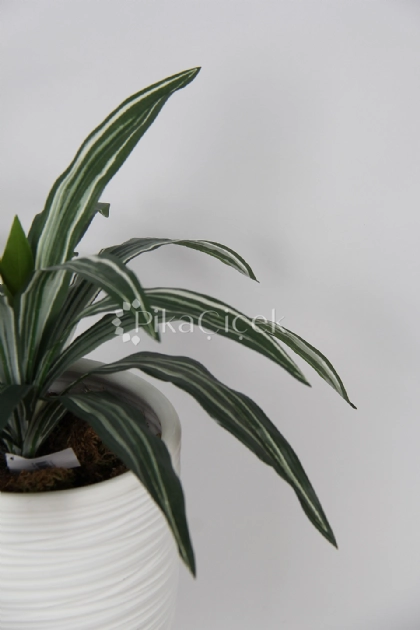 Yapay dracena Demeti 45cm