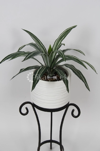 Yapay dracena Demeti 45cm