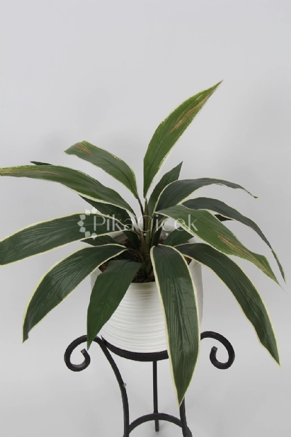 Yapay Salon Yapra�� (Aspidistra) Demeti 50cm