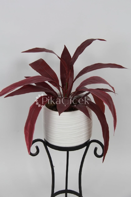 Yapay  K�z�l Dracena Yapra�� 50cm
