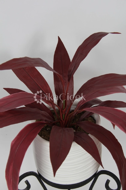Yapay  K�z�l Dracena Yapra�� 50cm