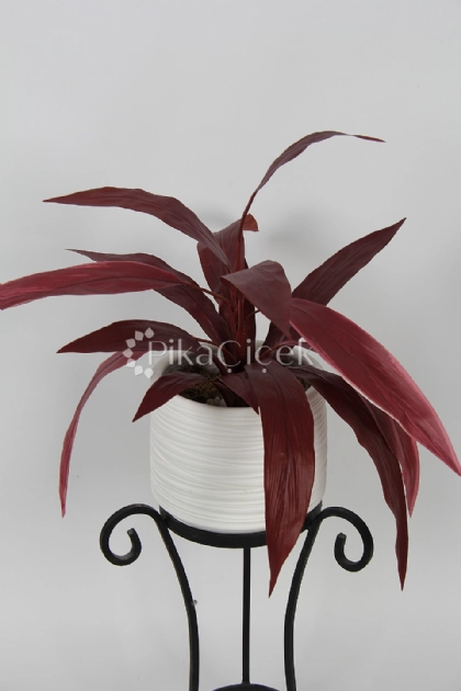 Yapay  K�z�l Dracena Yapra�� 50cm