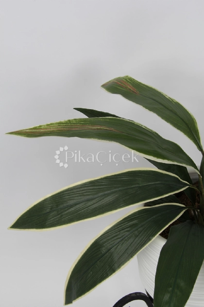 Yapay Salon Yapra�� (Aspidistra) Demeti 50cm