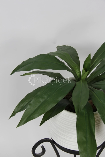 Yapay Ye�il Dracena Demeti