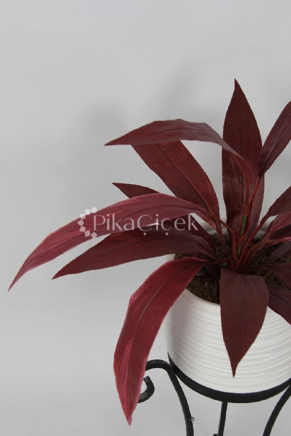Yapay  K�z�l Dracena Yapra�� 50cm