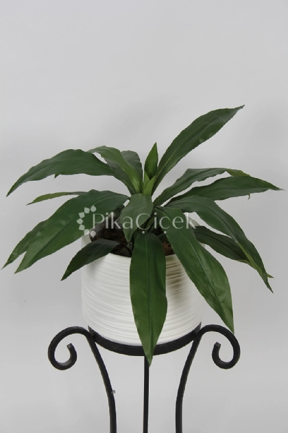 Yapay Yeşil Dracena Demeti