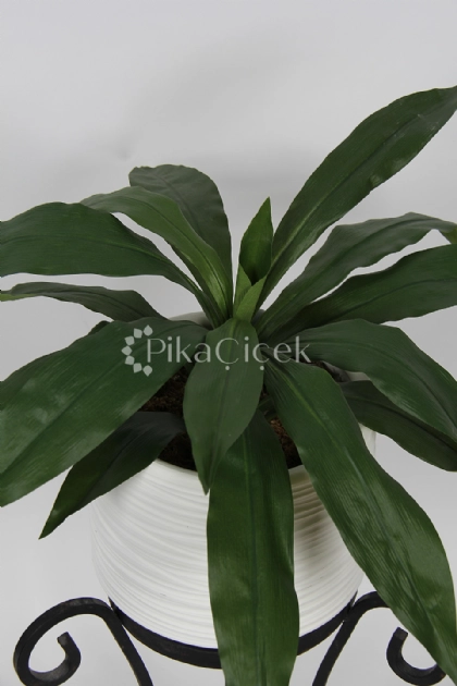 Yapay Ye�il Dracena Demeti