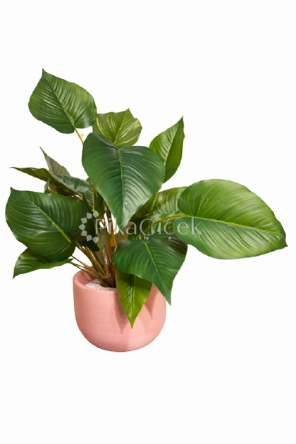 Yapay Spathiphyllum (Bar�� �i�e�i) - 50 cm