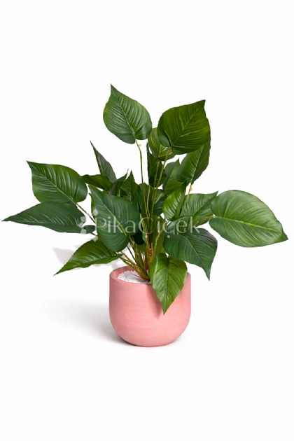 Yapay Spathiphyllum (Bar�� �i�e�i) - 50 cm